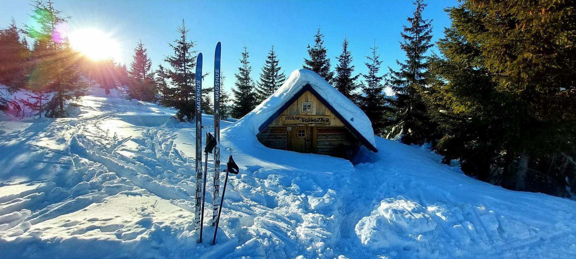 Tiny House Lavender Βίλα Podturen Εξωτερικό φωτογραφία